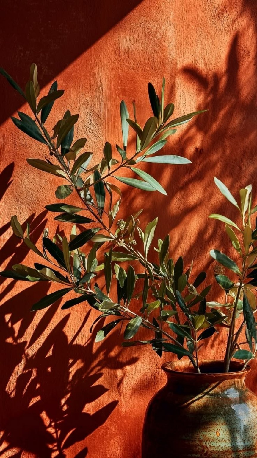 Feuillages dans la lumière sur un mur terracotta